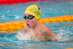 XXVIII Gran Premio Shark
20-21 Dicembre 2025
Piscina Scandone Napoli