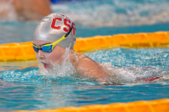 XXVIII Gran Premio Shark
20-21 Dicembre 2025
Piscina Scandone Napoli