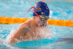 XXVIII Gran Premio Shark
20-21 Dicembre 2025
Piscina Scandone Napoli