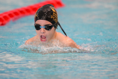 XXVIII Gran Premio Shark
20-21 Dicembre 2025
Piscina Scandone Napoli