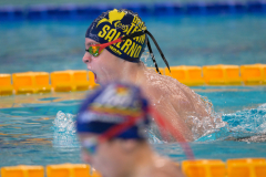 XXVIII Gran Premio Shark
20-21 Dicembre 2025
Piscina Scandone Napoli