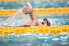 XXVIII Gran Premio Shark20-21 Dicembre 2025Piscina Scandone Napoli