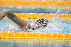 XXVIII Gran Premio Shark - 100 Stile M Esordienti B