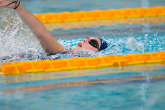 XXVIII Gran Premio Shark20-21 Dicembre 2025Piscina Scandone Napoli