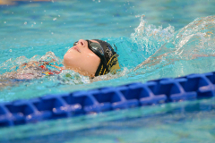 XXVIII Gran Premio Shark20-21 Dicembre 2025Piscina Scandone Napoli