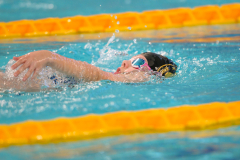 XXVIII Gran Premio Shark20-21 Dicembre 2025Piscina Scandone Napoli