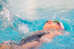 XXVIII Gran Premio Shark20-21 Dicembre 2025Piscina Scandone Napoli