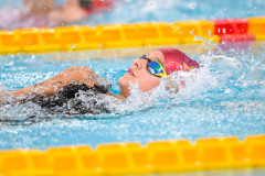 XXVIII Gran Premio Shark
20-21 Dicembre 2025
Piscina Scandone Napoli