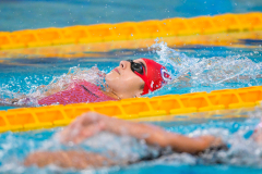 XXVIII Gran Premio Shark
20-21 Dicembre 2025
Piscina Scandone Napoli