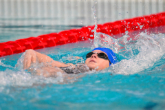 XXVIII Gran Premio Shark
20-21 Dicembre 2025
Piscina Scandone Napoli