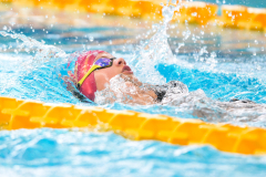 XXVIII Gran Premio Shark
20-21 Dicembre 2025
Piscina Scandone Napoli