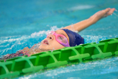 XXVIII Gran Premio Shark20-21 Dicembre 2025Piscina Scandone Napoli