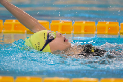 XXVIII Gran Premio Shark20-21 Dicembre 2025Piscina Scandone Napoli