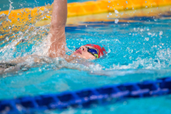 XXVIII Gran Premio Shark20-21 Dicembre 2025Piscina Scandone Napoli