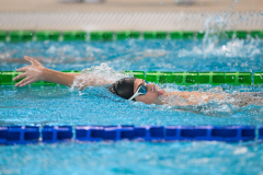 XXVIII Gran Premio Shark20-21 Dicembre 2025Piscina Scandone Napoli