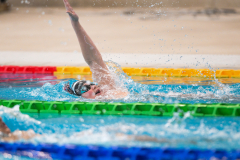 XXVIII Gran Premio Shark20-21 Dicembre 2025Piscina Scandone Napoli