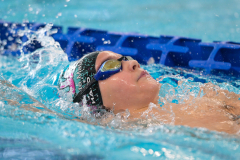 XXVIII Gran Premio Shark20-21 Dicembre 2025Piscina Scandone Napoli