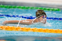 XXVIII Gran Premio Shark - 200 Farfalla M Esordienti A