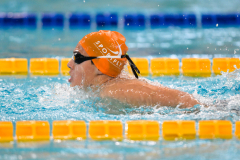 XXVIII Gran Premio Shark20-21 Dicembre 2025Piscina Scandone Napoli