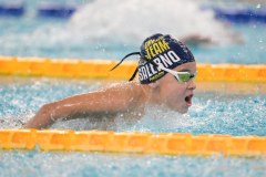 XXVIII Gran Premio Shark20-21 Dicembre 2025Piscina Scandone Napoli