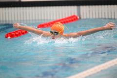 XXVIII Gran Premio Shark20-21 Dicembre 2025Piscina Scandone Napoli