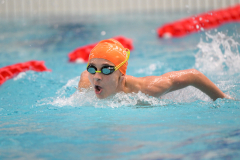 XXVIII Gran Premio Shark20-21 Dicembre 2025Piscina Scandone Napoli