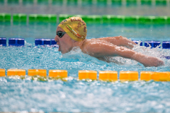 XXVIII Gran Premio Shark20-21 Dicembre 2025Piscina Scandone Napoli