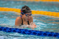 XXVIII Gran Premio Shark20-21 Dicembre 2025Piscina Scandone Napoli