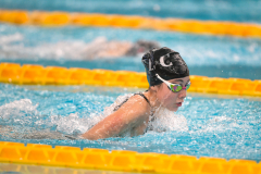 XXVIII Gran Premio Shark20-21 Dicembre 2025Piscina Scandone Napoli