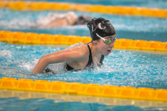 XXVIII Gran Premio Shark20-21 Dicembre 2025Piscina Scandone Napoli