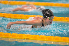 XXVIII Gran Premio Shark20-21 Dicembre 2025Piscina Scandone Napoli