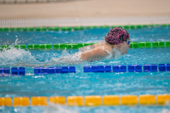 XXVIII Gran Premio Shark
20-21 Dicembre 2025
Piscina Scandone Napoli