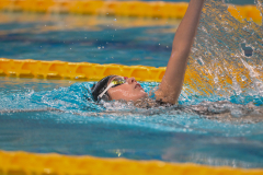 XXVIII Gran Premio Shark
20-21 Dicembre 2025
Piscina Scandone Napoli