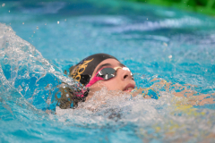 XXVIII Gran Premio Shark
20-21 Dicembre 2025
Piscina Scandone Napoli