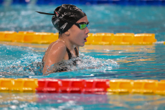 XXVIII Gran Premio Shark
20-21 Dicembre 2025
Piscina Scandone Napoli