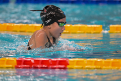 XXVIII Gran Premio Shark
20-21 Dicembre 2025
Piscina Scandone Napoli