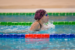 XXVIII Gran Premio Shark
20-21 Dicembre 2025
Piscina Scandone Napoli