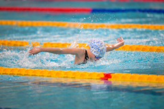 XXVIII Gran Premio Shark
20-21 Dicembre 2025
Piscina Scandone Napoli