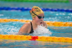 XXVIII Gran Premio Shark
20-21 Dicembre 2025
Piscina Scandone Napoli