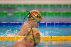 XXVIII Gran Premio Shark
20-21 Dicembre 2025
Piscina Scandone Napoli