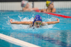 XXVIII Gran Premio Shark
20-21 Dicembre 2025
Piscina Scandone Napoli