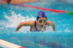 XXVIII Gran Premio Shark
20-21 Dicembre 2025
Piscina Scandone Napoli