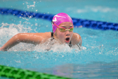 XXVIII Gran Premio Shark
20-21 Dicembre 2025
Piscina Scandone Napoli