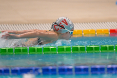 XXVIII Gran Premio Shark
20-21 Dicembre 2025
Piscina Scandone Napoli