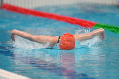 XXVIII Gran Premio Shark
20-21 Dicembre 2025
Piscina Scandone Napoli