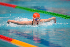 XXVIII Gran Premio Shark
20-21 Dicembre 2025
Piscina Scandone Napoli