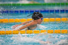 XXVIII Gran Premio Shark
20-21 Dicembre 2025
Piscina Scandone Napoli