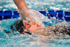 XXVIII Gran Premio Shark
20-21 Dicembre 2025
Piscina Scandone Napoli