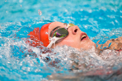 XXVIII Gran Premio Shark
20-21 Dicembre 2025
Piscina Scandone Napoli