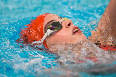 XXVIII Gran Premio Shark
20-21 Dicembre 2025
Piscina Scandone Napoli